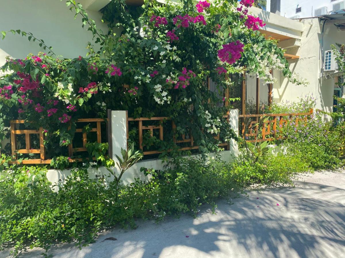 Bougainvillea Inn - Maldives Fulidhoo Eksteriør bilde